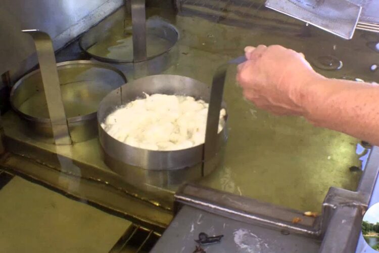 2013/07/12: Three Rivers Festival Maple Bacon Funnel Cake