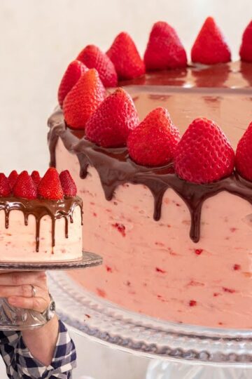 The MOST AMAZING Chocolate Strawberry Cake Recipe Ever!