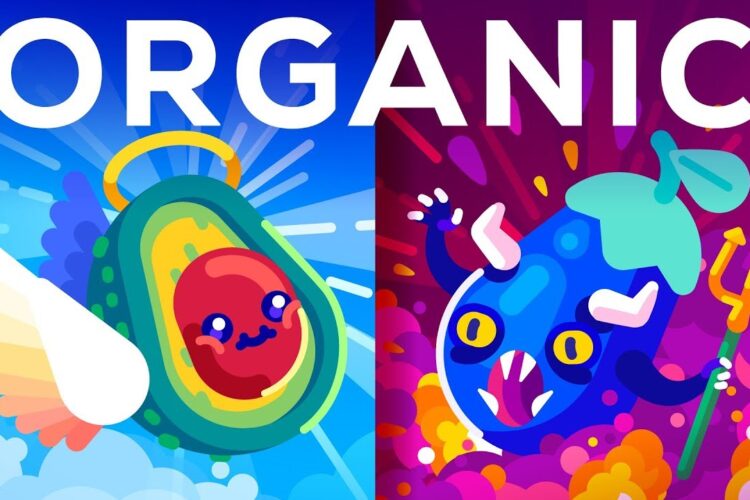 Is Organic Really Better? Healthy Food or Trendy Scam?