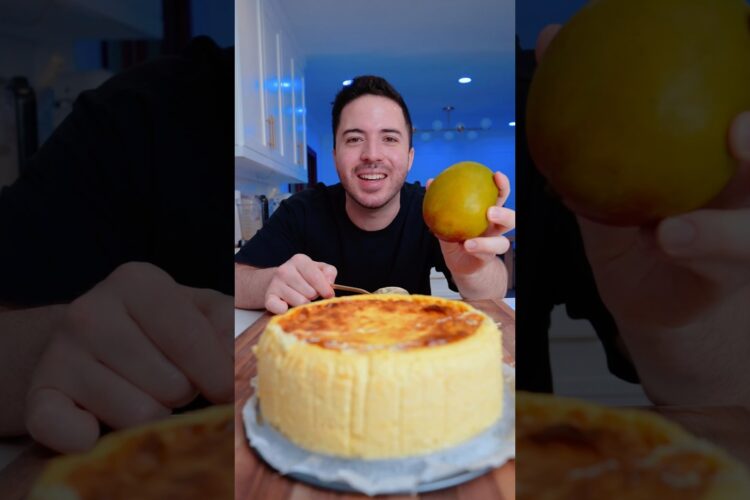 5 INGREDIENT MANGO CHEESECAKE #shorts
