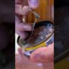 Here’s Why Tuna Says DO NOT DRAIN!! #food #health #eat