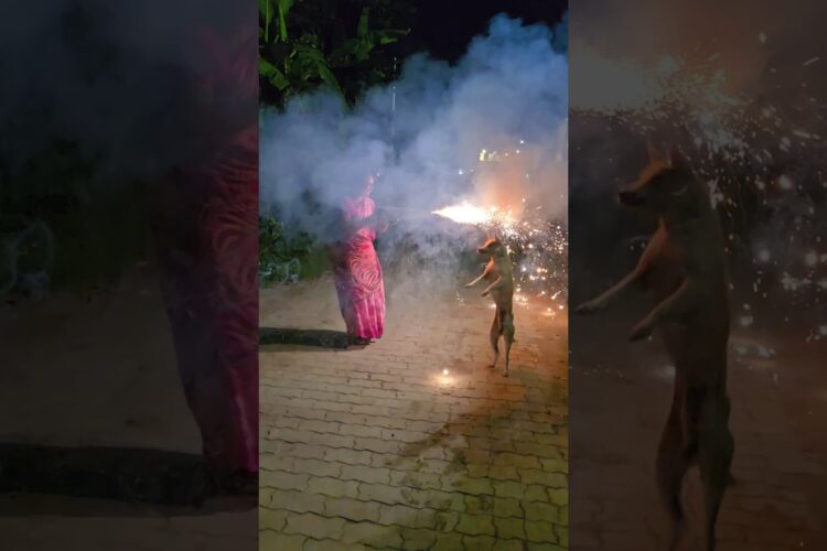 Pistol 5G எப்படி வெடிக்குது😂🤣😅😇#sujan #crackers #lachu #kavi #mominfluencers #bestmom #cute #sujan