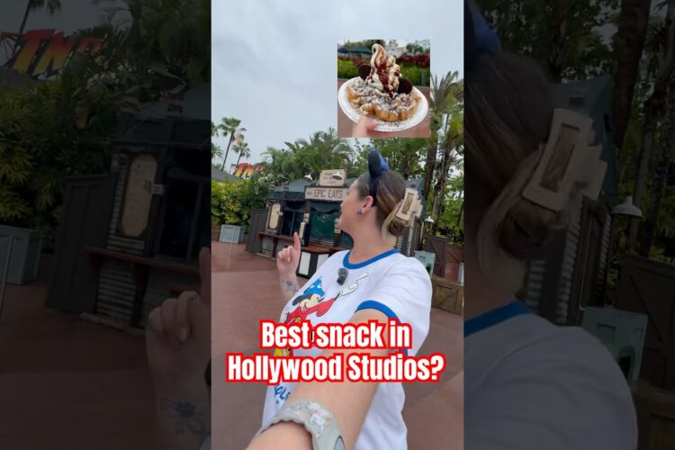 Best snack in Hollywood Studios? 🍦🐭 Funnel cake is the ultimate Disney snack. #disneyfood #snack