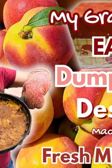 I Can't Believe How Easy This Was! My Grandma's Peach Cobbler made with Fresh Milled Flour