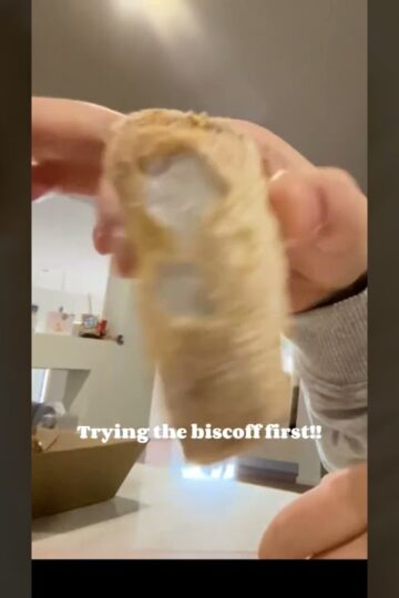 cannoli!!