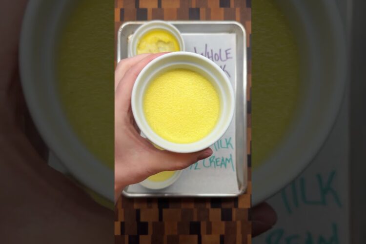 The Difference Between Using Milk vs Cream in Crème Brûlée #baking #cremebrulee