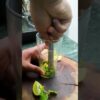 Simple Virgin Mojito for Summers