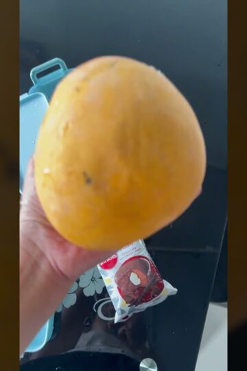 School Lunch Ideas                                               Kimbab|Sausage|Mango|Cupcake