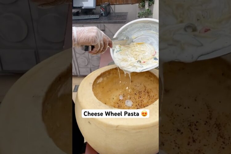 Best white sauce PASTA || Cheese Wheel PASTA for ₹1100/- only || Indian street food Delhi