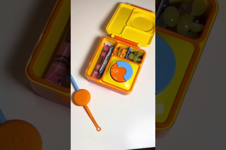 Back to School Lunches Picky Eaters | Omie Box Insulated Lunch Box Ideas Hot Lunch Ideas for School