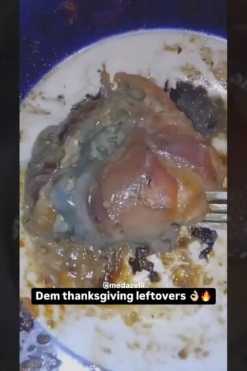 I Can’t Waste Thanksgiving Leftovers 💯