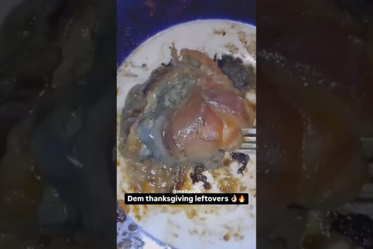 I Can’t Waste Thanksgiving Leftovers 💯