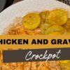 Crockpot-Chicken and Gravy
