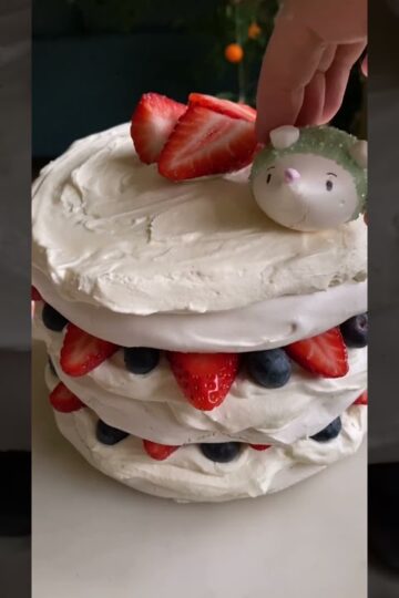 Cuddle or eat? ☺️🦔 #pavlova