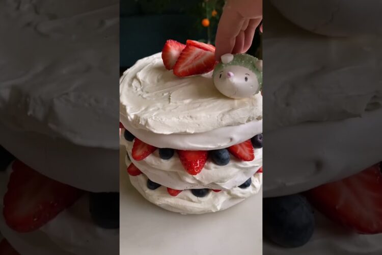 Cuddle or eat? ☺️🦔 #pavlova