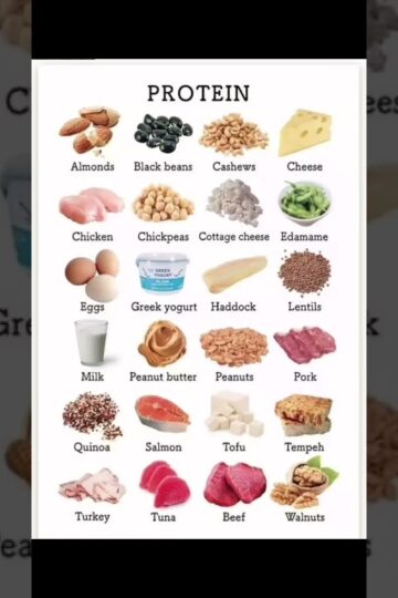 "High-Protein Foods You Should Know About! 🥚🥜🍗"