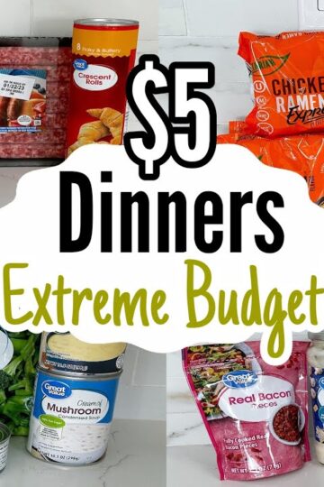 $5 DINNERS | FIVE Quick & Easy Cheap Dinner Recipes Made EASY! | Walmart Cheap Meals | Julia Pacheco