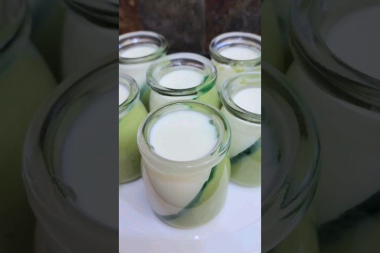 🥑Making Avocado Jelly Panna Cotta #avocado #pannacotta
