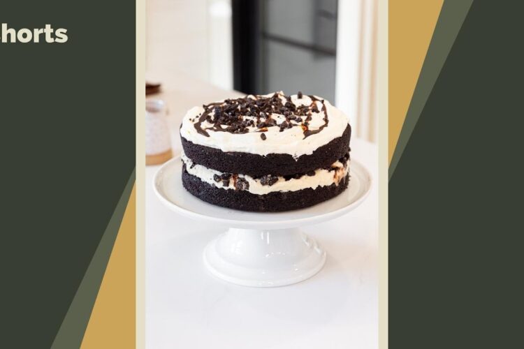 An easy-to-make homemade ice cream cake (using homemade or store-bought items) #shorts