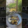 Vegetarian One Meal A Day Plan: 1200 calories, 80 grams Protein