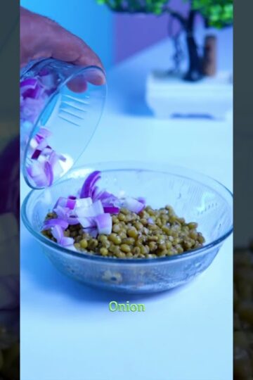 High protein vegetarian salad( only for vegetarian )