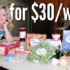 How to eat for $30 a Week from Walmart | EASY Cheap Meal Ideas | Emergency Grocery Budget Shopping