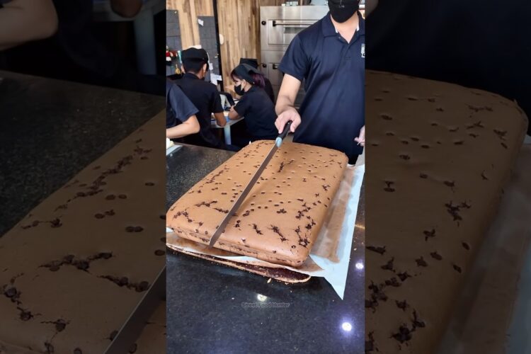 Giant Chocolate Cake Cutting