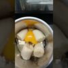 EGG PANCAKE RECIPE ( for 1-2 years baby ) - egg for brain development & healthy weight gain