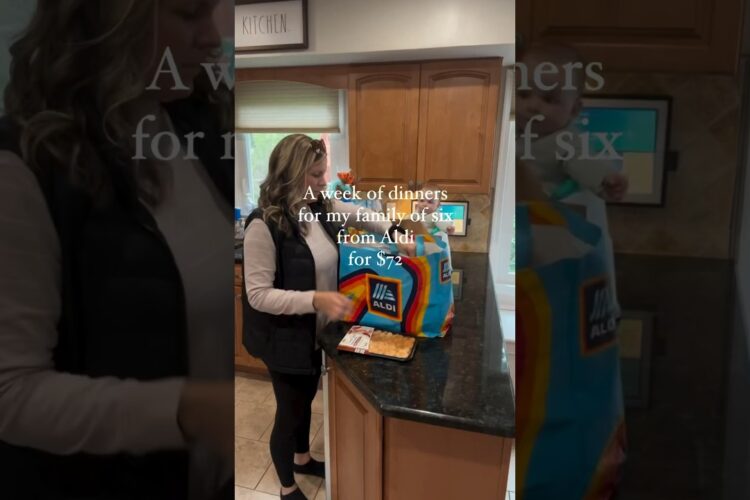 ✨BUDGET FRIENDLY✨ALDI Dinners for family of 6 #momlife #dinnerideas #aldi #familymeals #budgetmeals