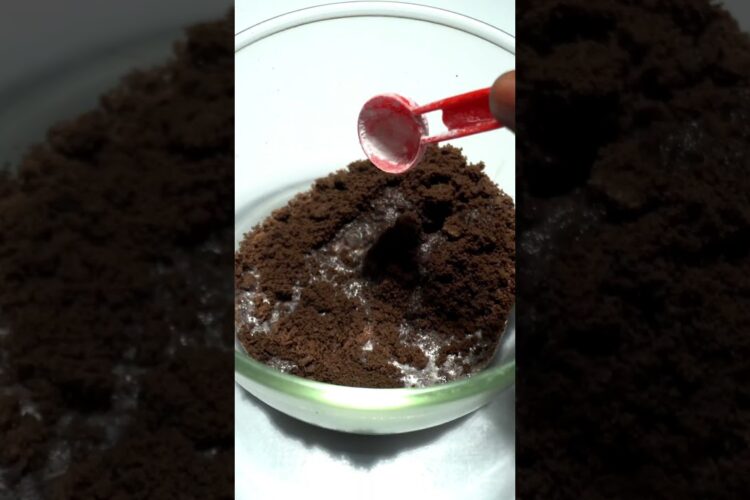 Oreo biscuit வைத்து இப்படி செய்து பாருங்கள் 💥 simple Oreo lava cake recipe 💥 cake recipe #shorts