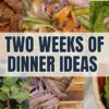 Meal Ideas on a Budget! | Healthy Dinner Ideas | Easy Dinners
